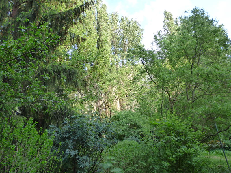 29255247os.jpg