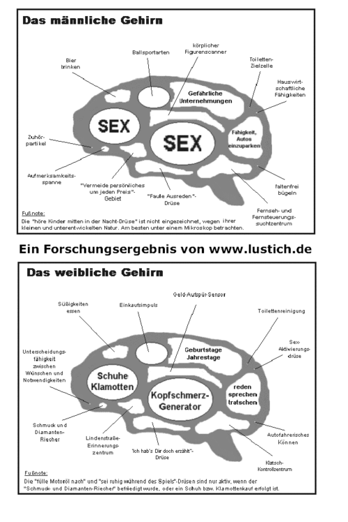 1146-gehirnvergleich.gif