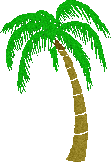 4-palm-tree-4.gif