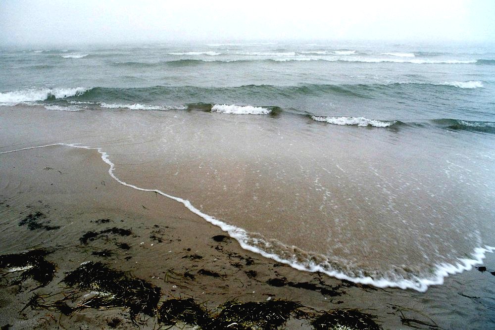 beach27a.jpg