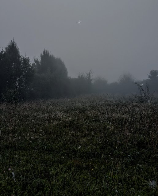 Photo-1726644439241.jpg