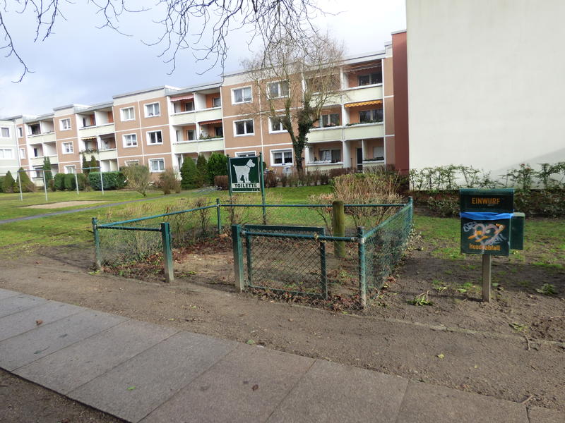 31698384se.jpg