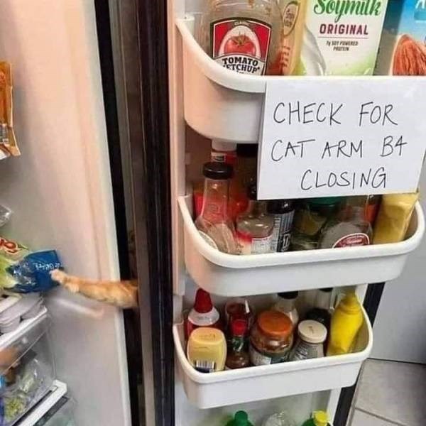 safety-first