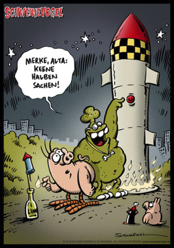 schweinevogel_neues_jahr_1550225.jpg