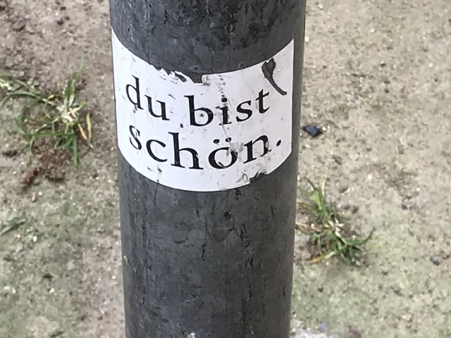 35635767rq.jpg