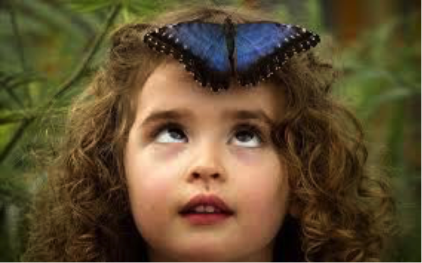 Schmetterling-Kind.png
