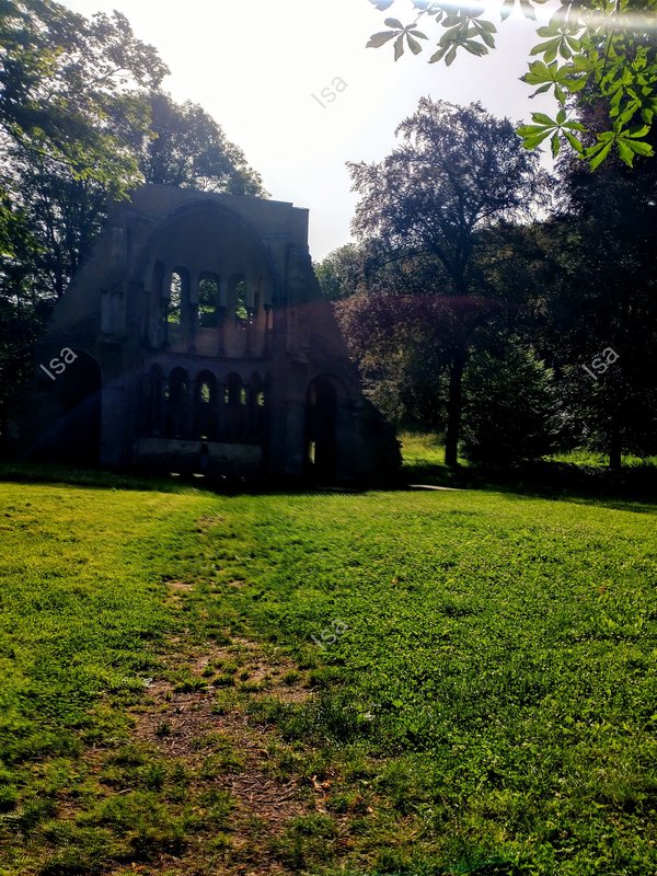 Photo-1720432019012.jpg