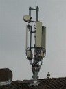 www.geopathologie.de