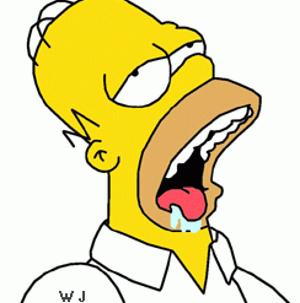 uh44337,1255426831,homer_simpson.jpg