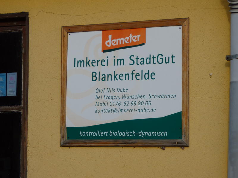 30655359bl.jpg