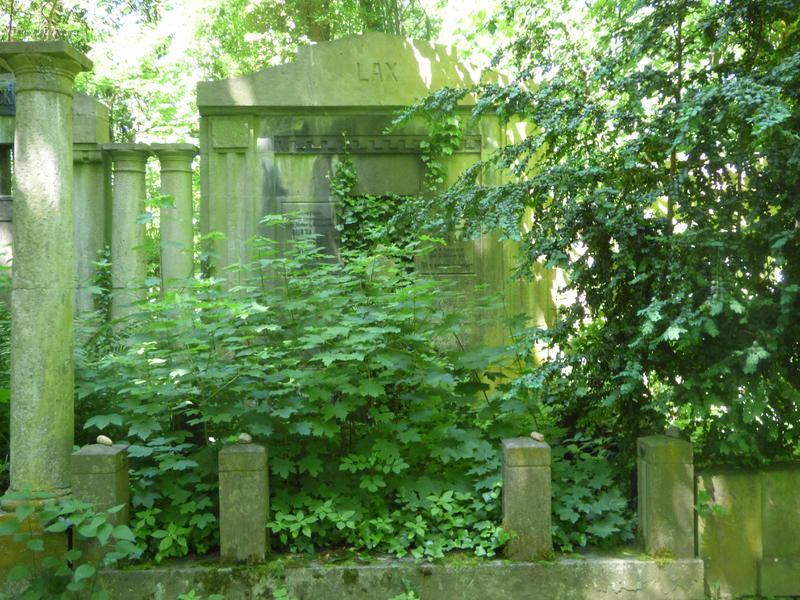 29528397bg.jpg