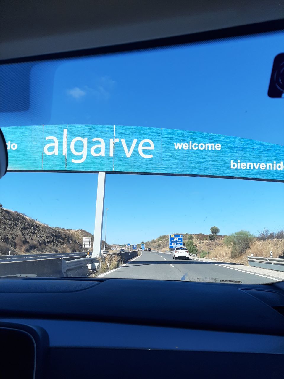44320517dy.jpg