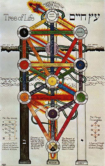 350px-Tree_of_Life.jpg
