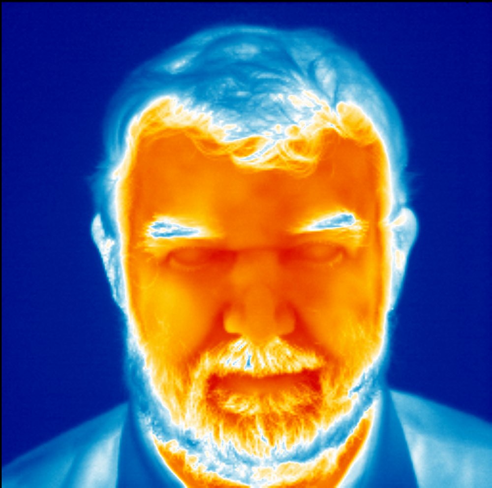 vt_therm2.jpg