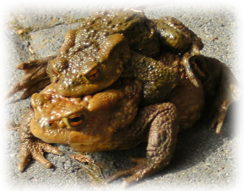 21470119gk.jpg