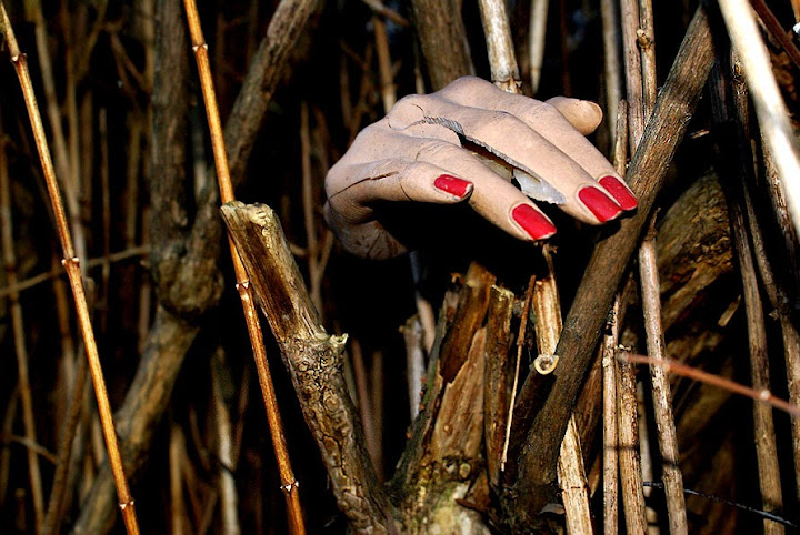 hand.jpg