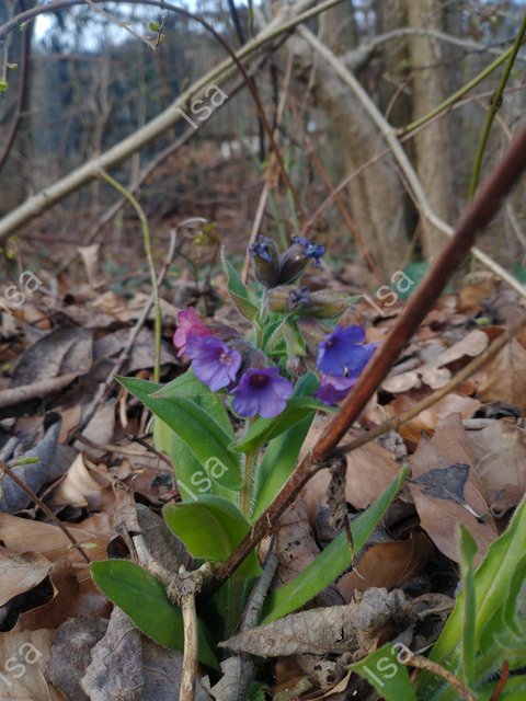Photo-1711349559225.jpg