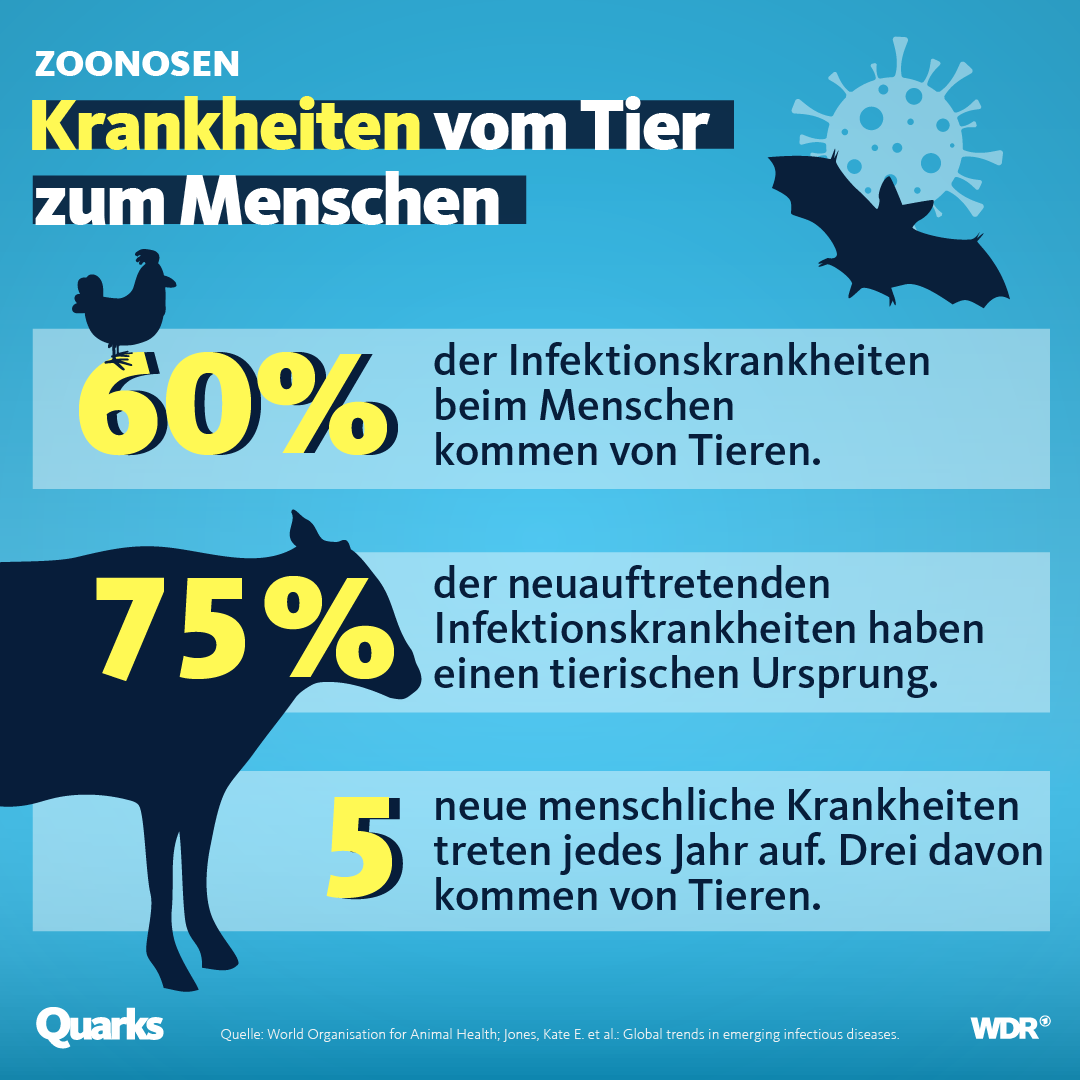 Tafel-Zoonosen-Krankheiten-vom-Tier-zum-Menschen-Insta.png