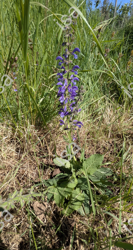 Photo-1747473469492.jpg