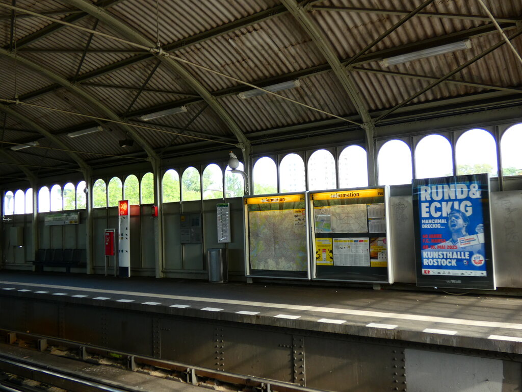 49916996ag.jpg