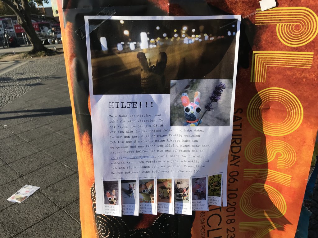 33993036ry.jpg