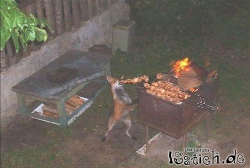 grillen_a437040
