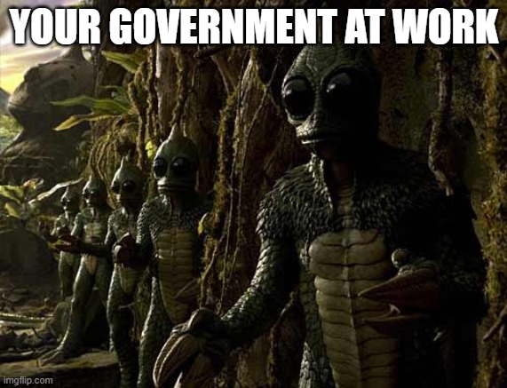 49tgvv.jpg