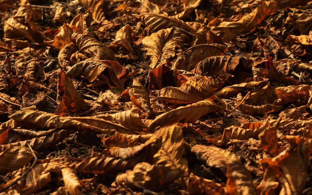 HerbstimpressTuni201416von16_zps86906238.jpg