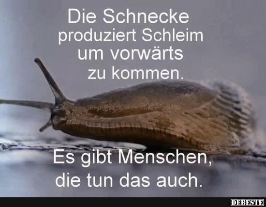 7404911b92d46f0575cefc9abb4f9f1f2937.jpg