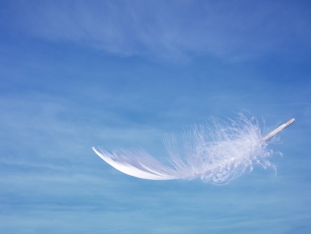 feather-33575290_s.jpg
