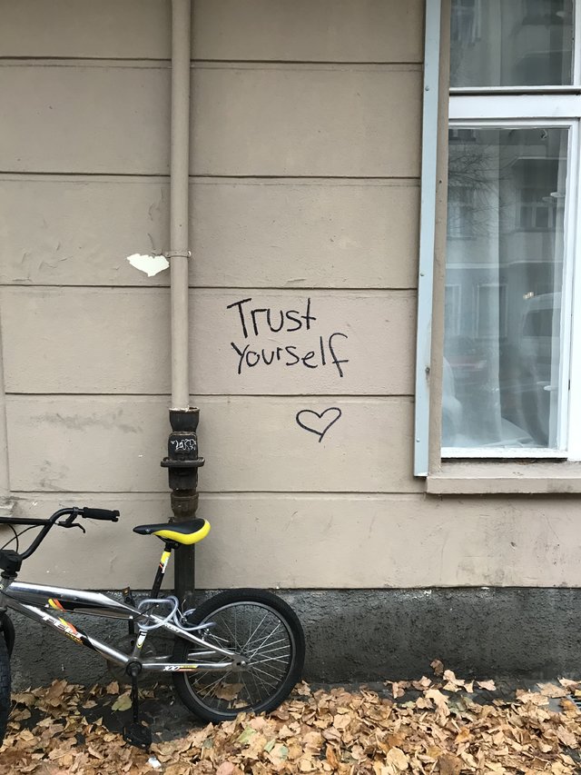 42386536qc.jpg