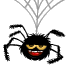 spinne1.gif