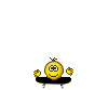 a019.gif