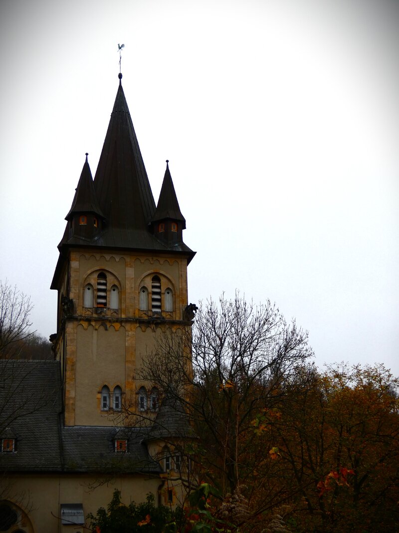 48926002zg.jpg
