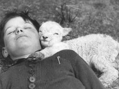 58270f48a62b3546818546063b995e66--baby-lamb-baby-boy.jpg