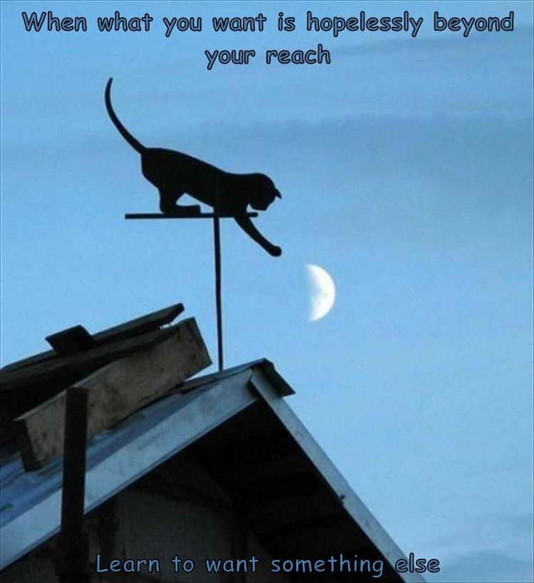 learn