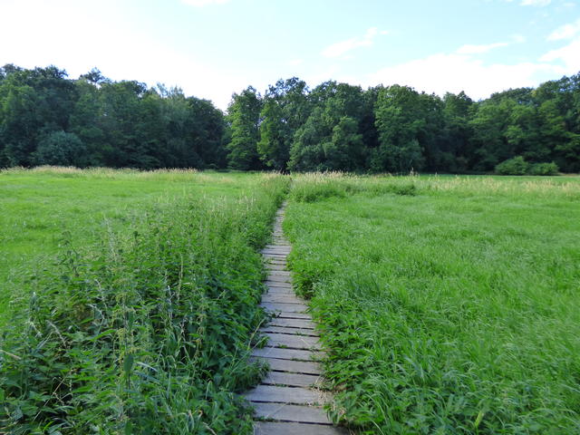 33975408kl.jpg