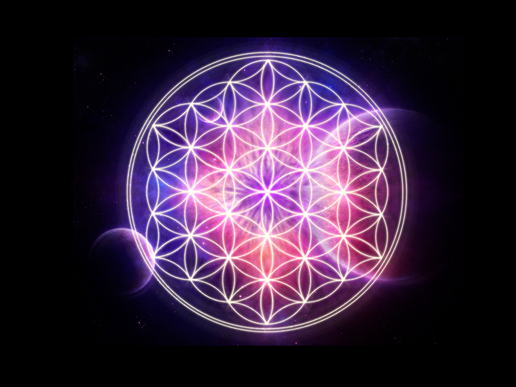 the_flower_of_life_by_flincus.jpg