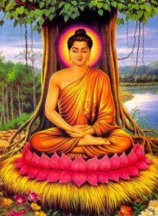 buddha_bodhibaum.png