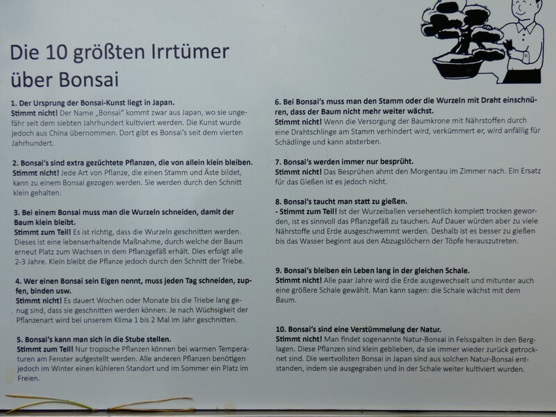 48798066lw.jpg