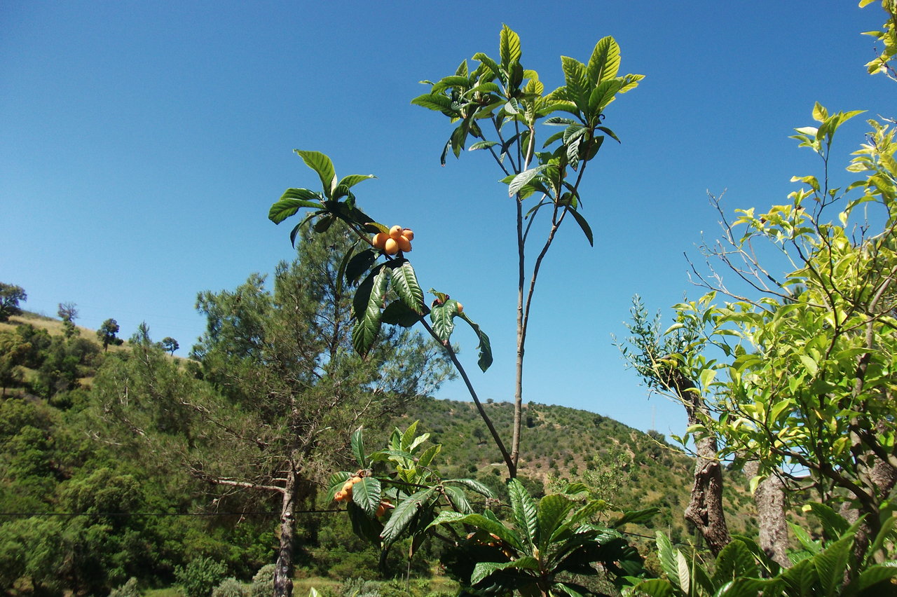 35676536hl.jpg