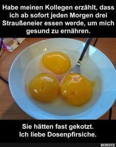 fc45717ec1cbc807c9ee9521de7a2c42.jpg