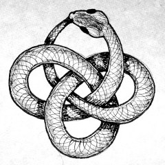 ouroboros_knot_240.jpg