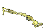 Skeleton-06-june.gif