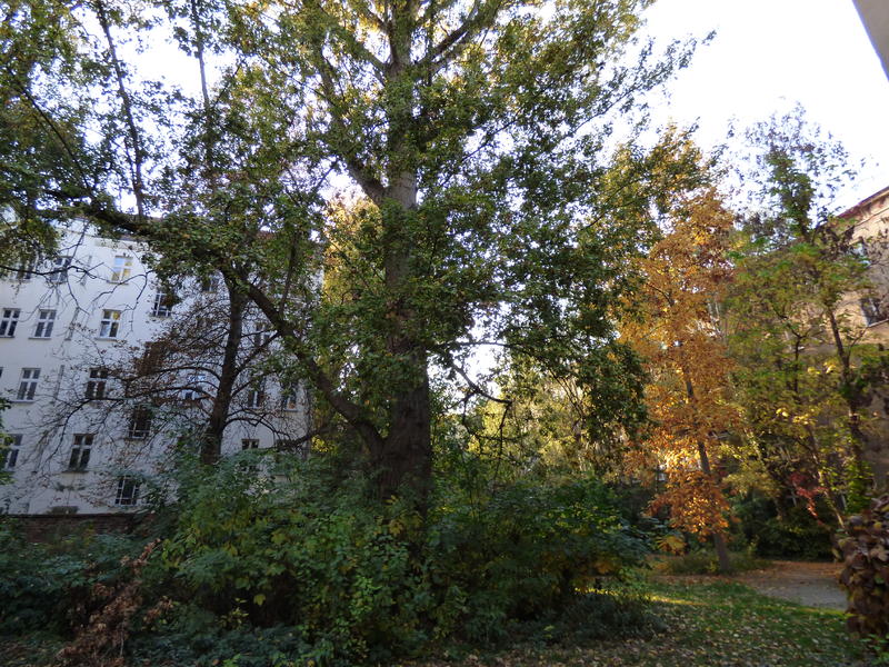 34100021qg.jpg