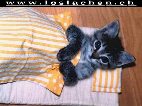 Gute_Nacht.jpg