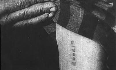 kz_nummer_arm.jpg