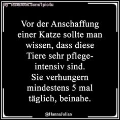 99ebeeb3c7cb6157bc47099a447ee642.jpg
