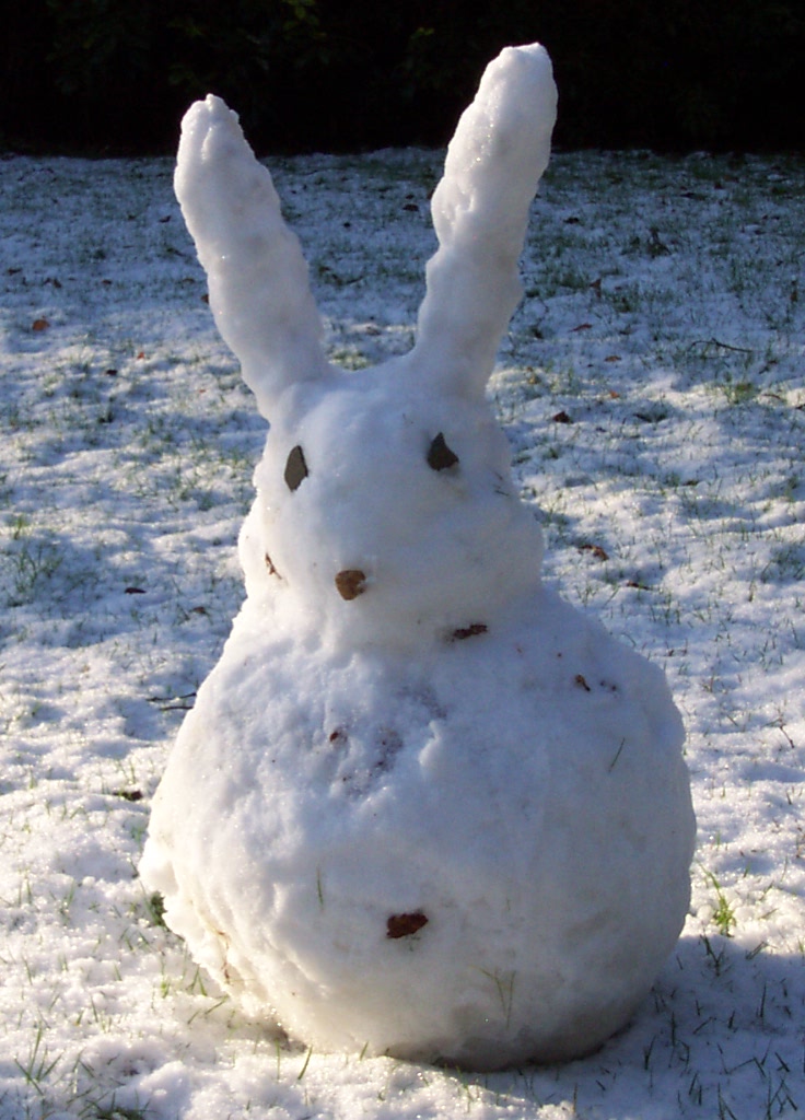 Snowrabbit.JPG