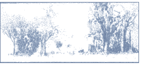 t203.gif